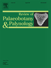 Review Of Palaeobotany And Palynology