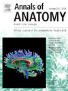 Annals Of Anatomy-anatomischer Anzeiger