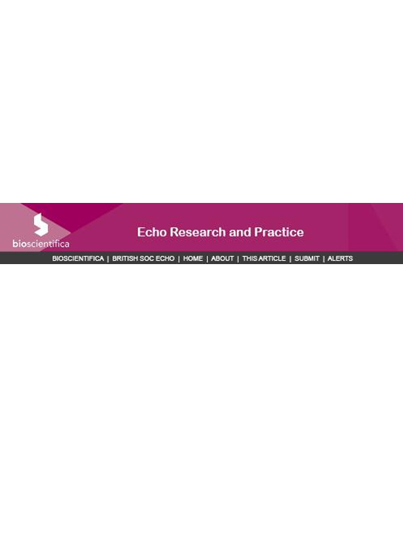 Echo Research And Practice