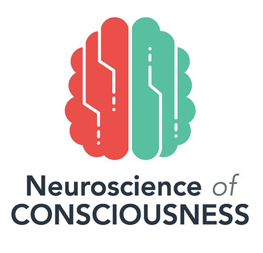 Neuroscience Of Consciousness