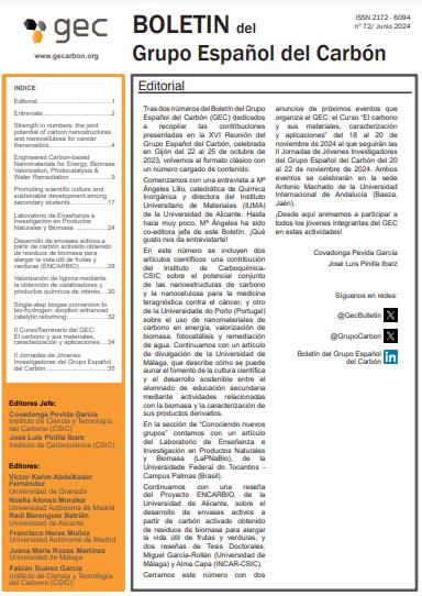 Boletin Del Grupo Espanol Del Carbon