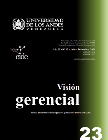 Vision Gerencial