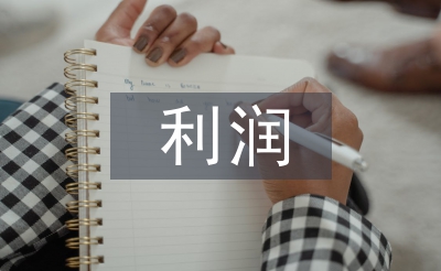 財(cái)務(wù)報(bào)表的利潤