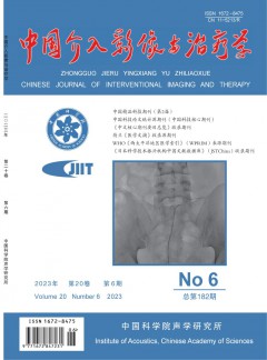 中國介入影像與治療學雜志