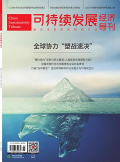 可持續(xù)發(fā)展經(jīng)濟導刊雜志