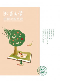 北京文學(xué)·中篇小說月報(bào)雜志