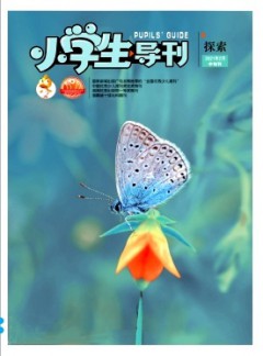 小學生導刊·中年級雜志