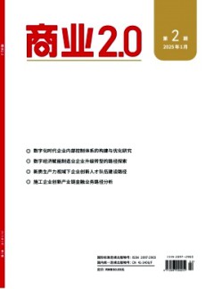 商業(yè)2.0